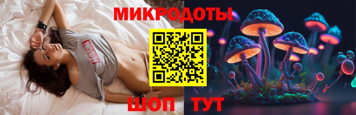 Псилоцибиновые грибы Psilocybe Новый Уренгой